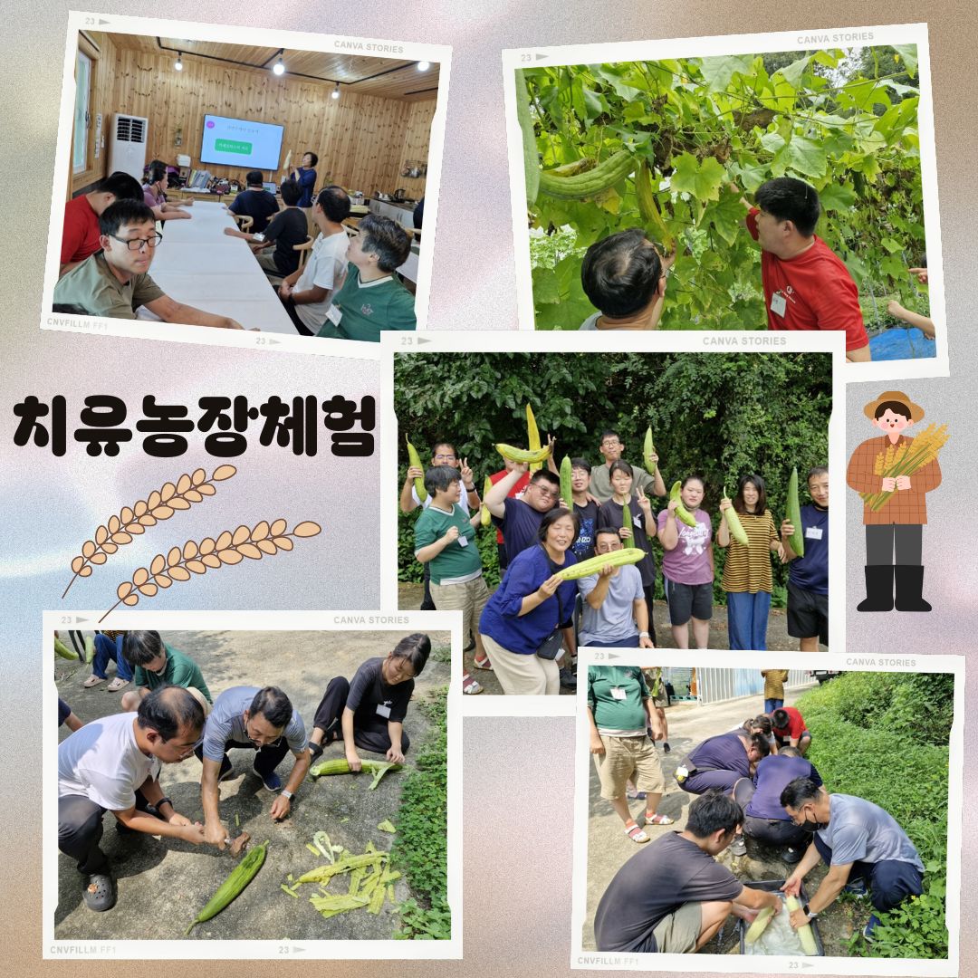 치유농장체험을 했어요!