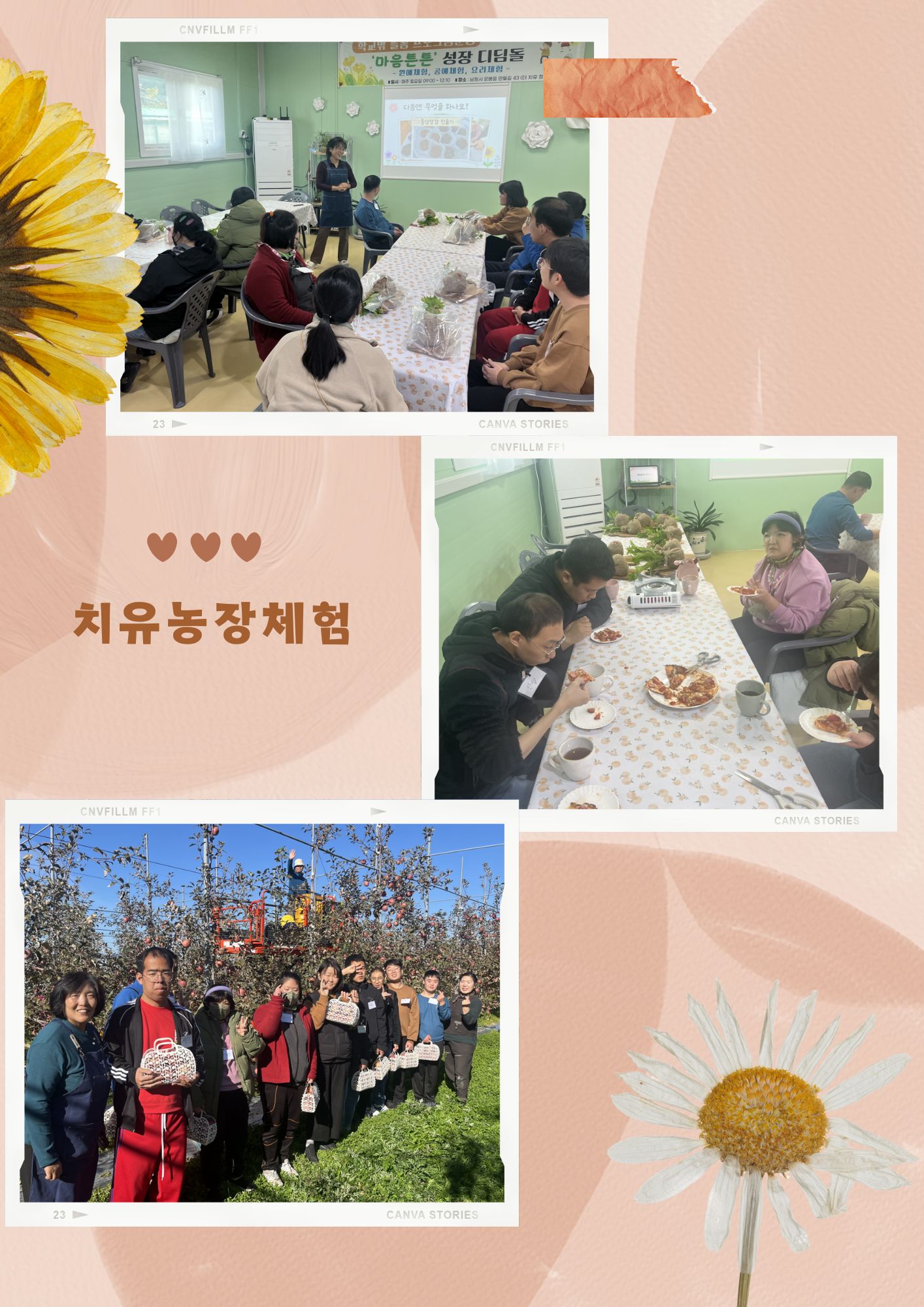 치유농장체험 다녀왔어요